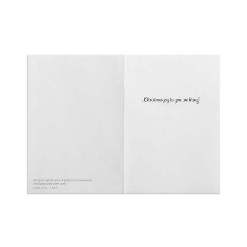 Day Spring 18 Count Inspirational Christmas Boxed Card Cardinal Multi Scripture - Picture 3 of 5