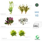 Mixed Bundle V2 140 Lt Live Aquarium Aquascape Plants Fish Tank -Snail Free-Safe