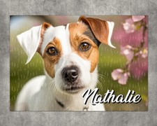 Puzzle chien Jack russel