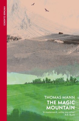 Der Zauberberg von Thomas Mann Taschenbuch