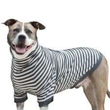 Tooth & Honey Medium Dog Pullover Shirt – Striped Cotton & Spandex Dog Shirt wit
