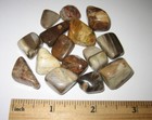 15 TUMBLED POLISHED 0.5"-0.8" PETRIFIED WOOD FOSSIL STONES MADAGASCAR 62g *3 (GG — photo 2