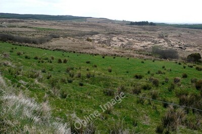 Foto 6x4 Beweidung und Moorlandschaft bei Dehomad Liscasey Der Kontrast zwischen einem c2010