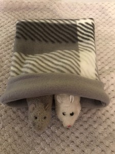 ferret snuggle sack