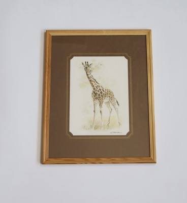 Vintage Stil gerahmter Giraffe Druck Bild Kiefer Rahmen 15  x 12  Tier Zoo