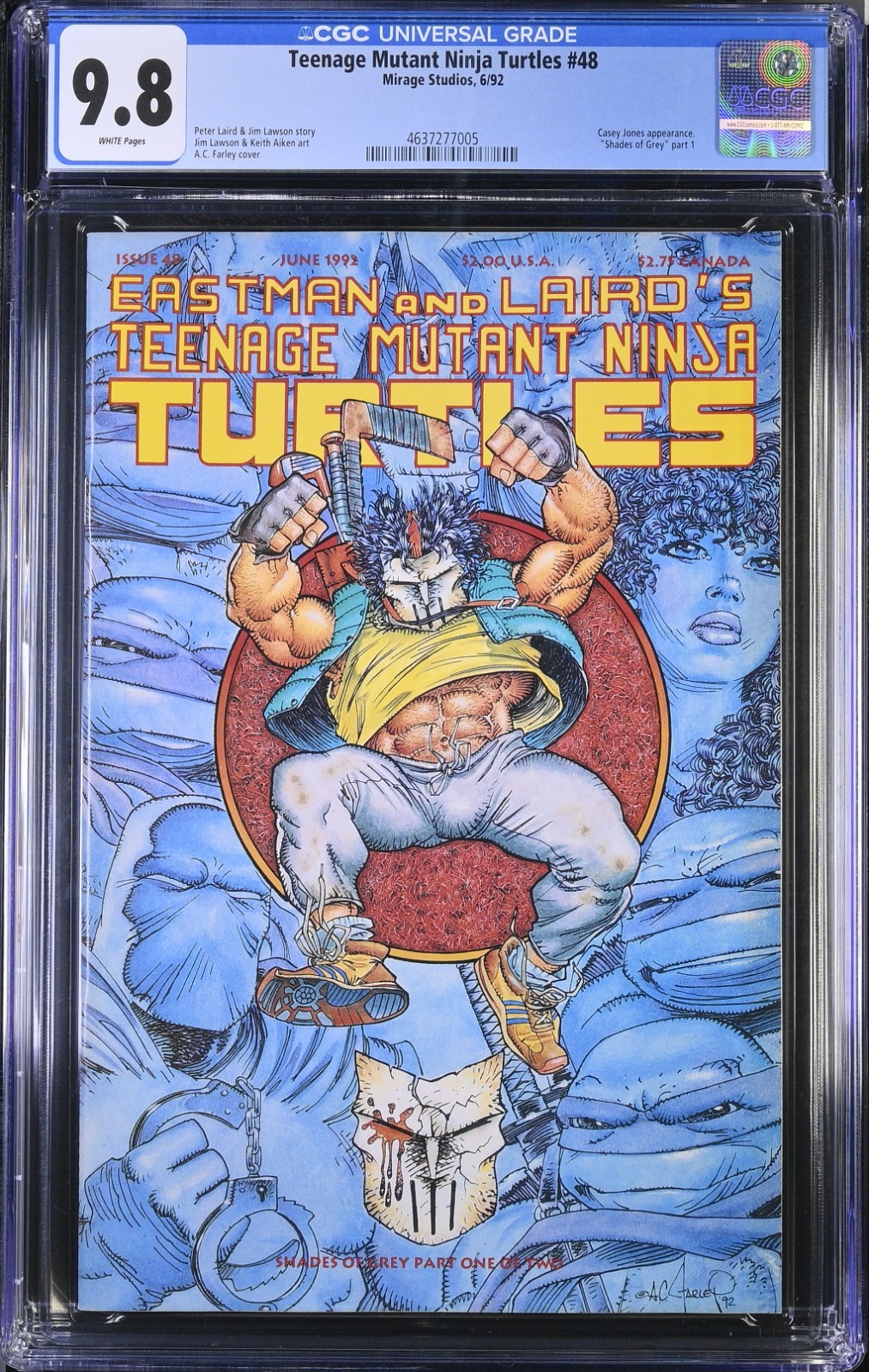 Teenage Mutant Ninja Turtles #48 Value - GoCollect