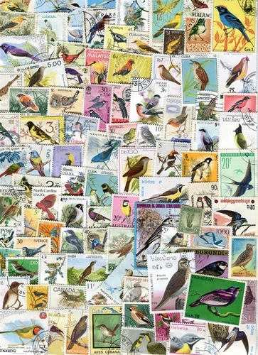 407 - Birds - 200 Different Used Stamps