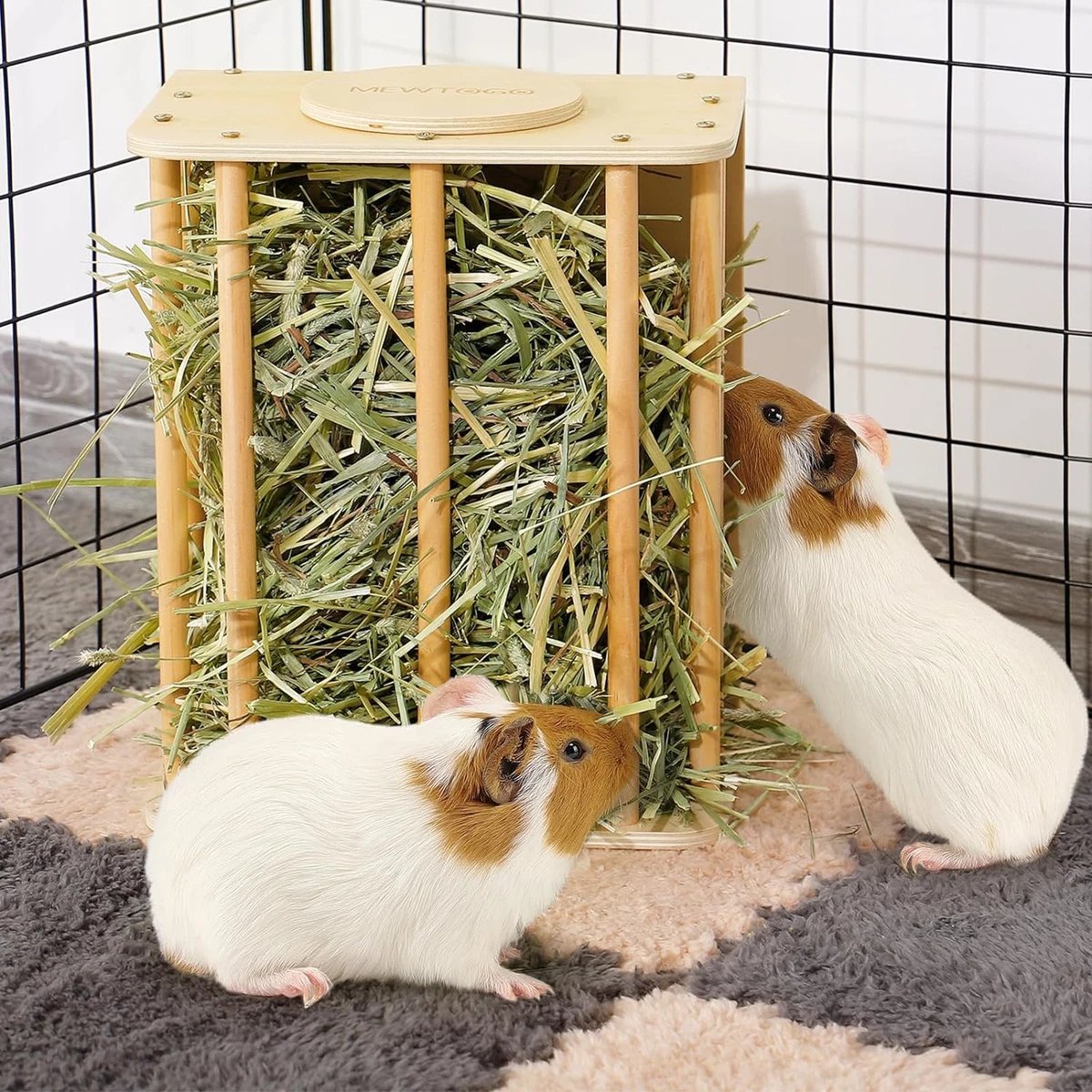 Hay holder best sale for guinea pigs