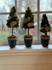 3 Reindeer Moss Topiary