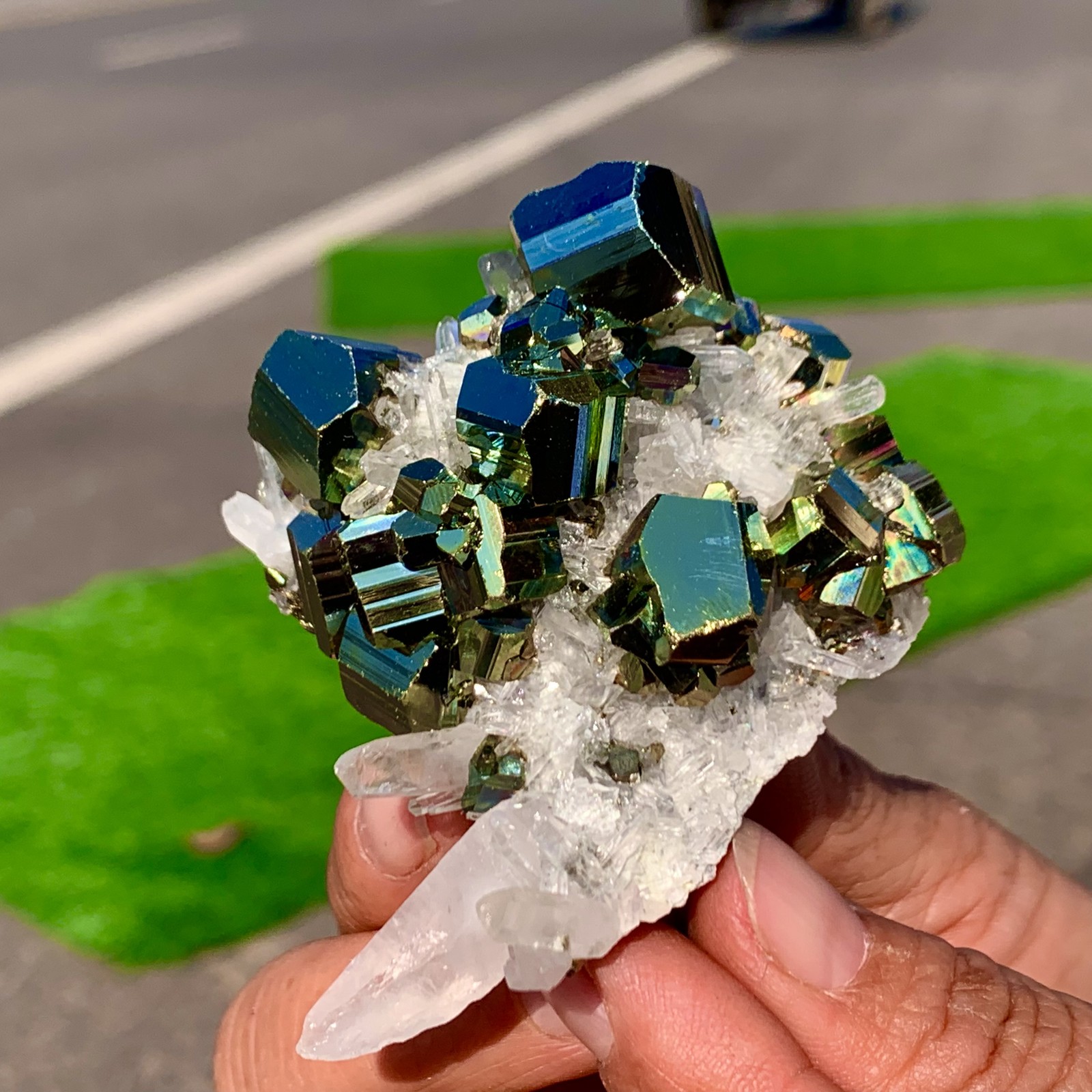 133G Natural colorful chalcopyrite clear Cluster coexisting crystal mineral