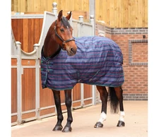 SHIRES EQUESTRIAN TEMPEST PLUS 100 STABLE RUG (SIZE 78")