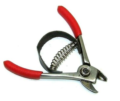 4-1/2'' Harvest Orange Scissors  Stainless Steel Treated Spring  Action Sharp