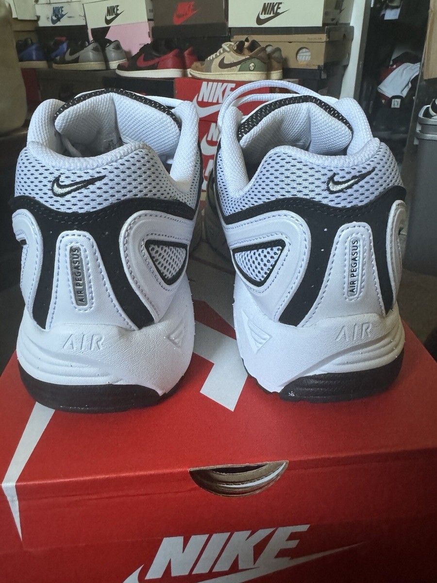 Nike Air Pegasus 2K5 White Metallic Silver Black FJ1909-100 | eBay