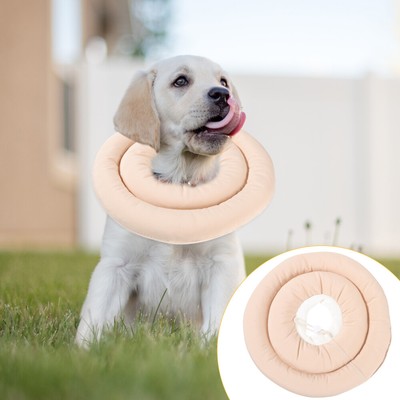 pet protective collar