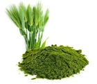 125g Organic Barley Grass Powder (New Zealand)