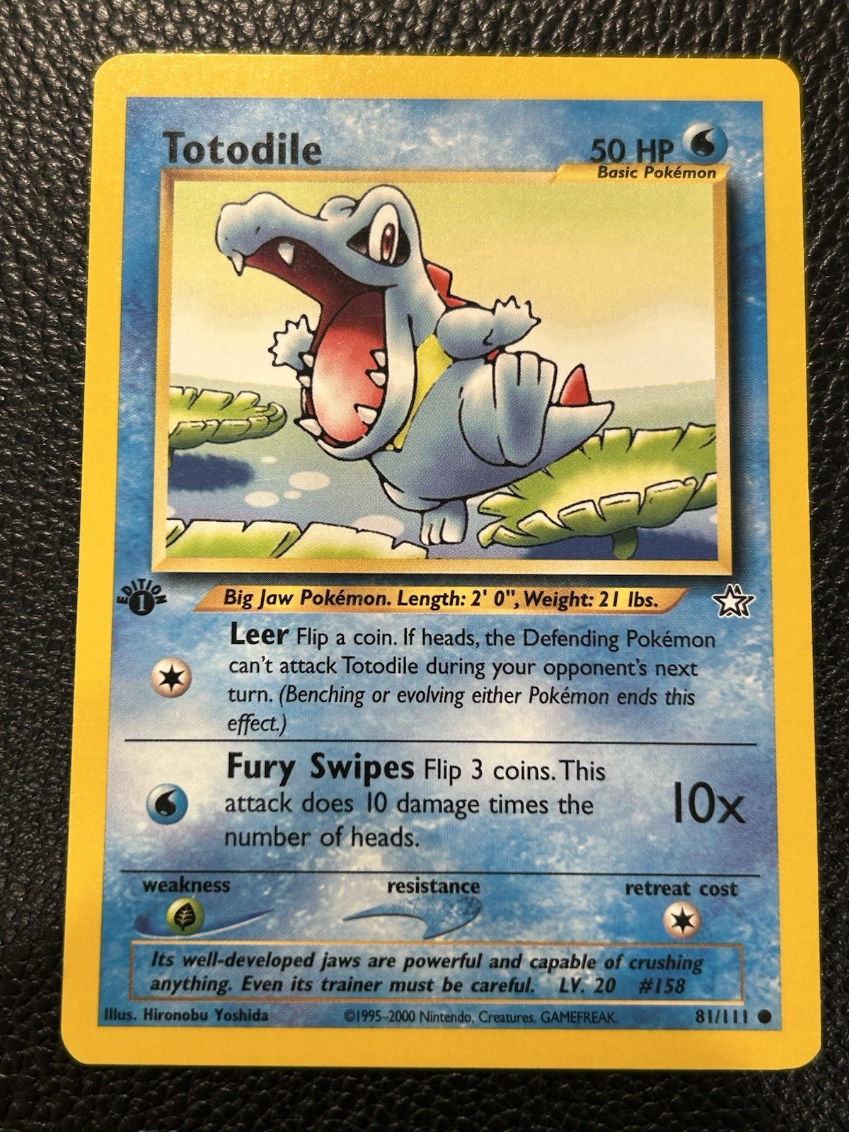 1st Edition Totodile 81/111 - Neo Genesis - Near Mint