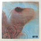 PINK FLOYD MEDDLE ODEON OP80375 1LP