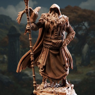 DM Stash Miniatures The One Eyed Wanderer Odin DnD Fantasy Mage Sorcerer | 32mm