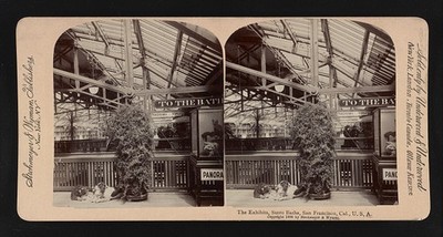 Photo:The exhibits, Sutro Baths, San Francisco, Cal., U.S.A.