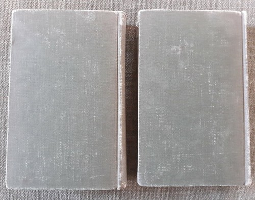 History Of Art, 2 Vol., Wilheim Lubke, 1877 X-library Rebound - Picture 3 of 24