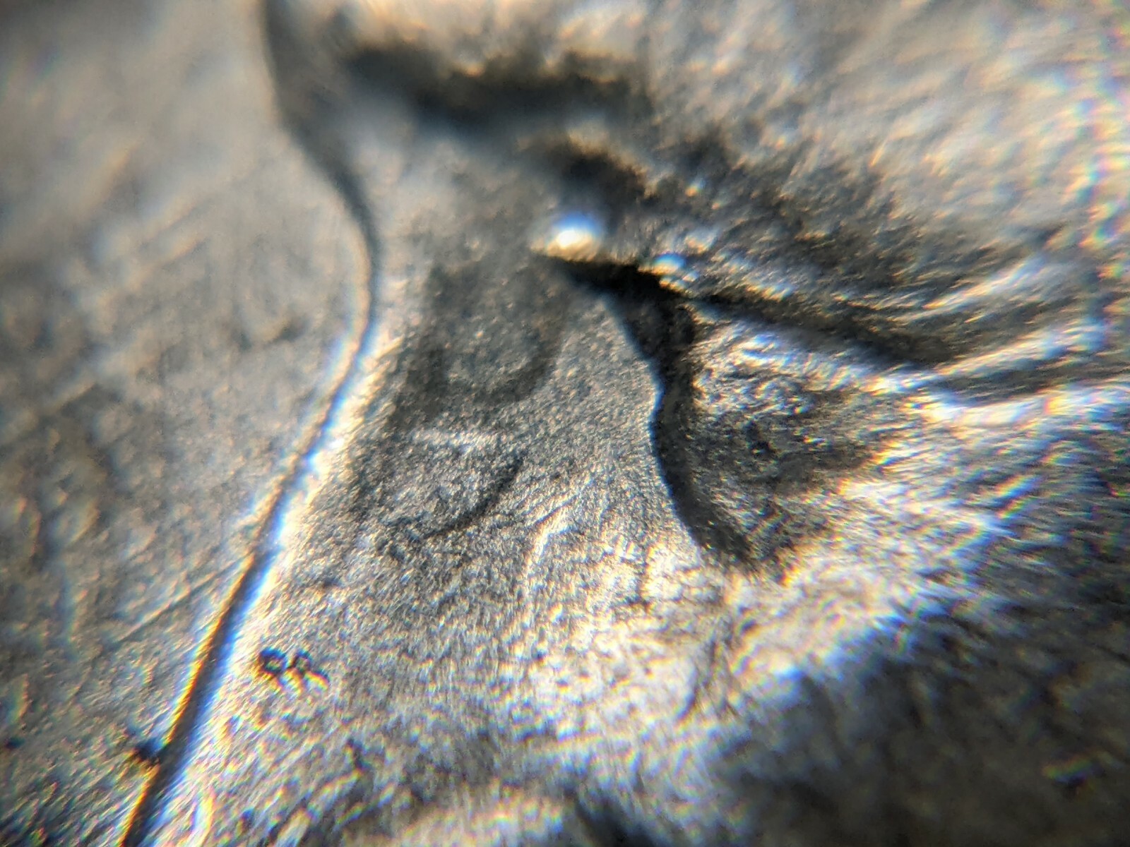 Picture 7 of 12