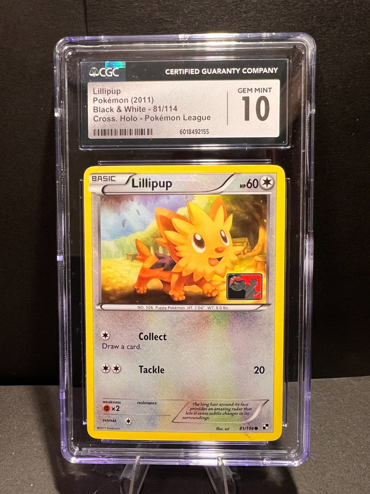 Lillipup #81 - Pokemon Black & White - Cross holo Pokemon League Card - CGC 10!!