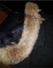 canada goose style 3802l