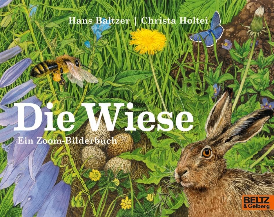 Hans Baltzer Christa Holtei Die Wiese: Ein Zoom-Bilderbuch (MINIMAX) (Tascabile)