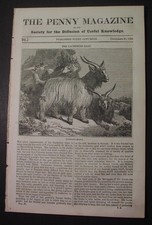 1833: CASHMERE goats; Mt. Etna ascent; Colombia natural bridge; Rochester UK