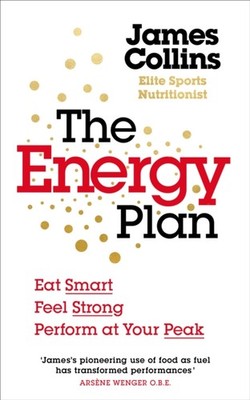 ENERGY PLAN by James Collins Paperback Self Help Business