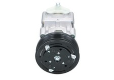 BV PSH 090.595.006.020 Klimakompressor für FORD JAGUAR MAZDA