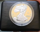 2025 Laser Engraved American  Eagle 1oz Silver Proof W COA & Box