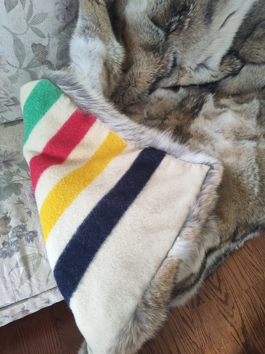 Hudson Bay Coyote Fur blanket