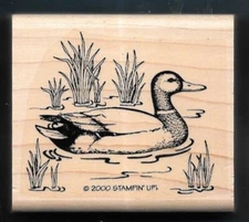 MALLARD DUCK POND LAKE Wildlife AMERICAN BIRDS NATURE Stampin' Up! RUBBER STAMP