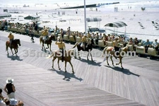 T023_019 35mm slide 1970 NJ Atlantic City Lions Cub International Convention 