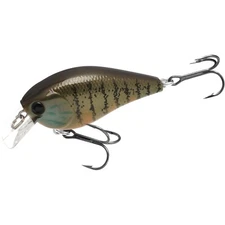 LUCKY CRAFT LC 1.5 - 427 Gold Pumpkin Seed (1qty)   Top Quality Crank Bait  