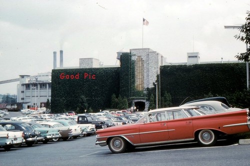 #D12-Vintage Amateur 35mm Slide Photo- Parking Lot- Cars - 1959 - Picture 2 of 2