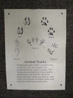 Vintage ANIMAL TRACKS informational Trail SIGN Metal Tin Plaque 12" x 9"