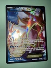 Pokémon Gyarados EX TCG Full Art Holo Ultra Rare Card 114/122