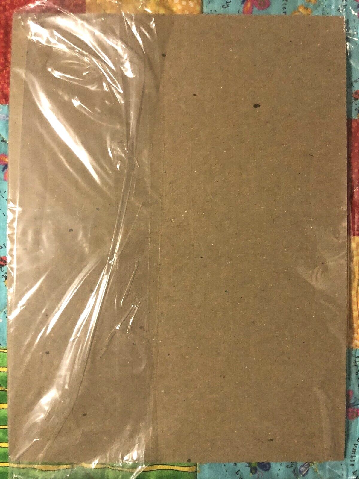 Picture 6 of 6