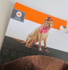 Dog Pet COWBOY COSTUME L/XL New WESTERN 4pc HAT BANDANA LEG CUFFS Cowgirl RODEO