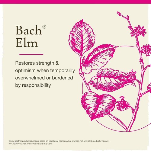 Bach Original Flower Remedies Elm Be Efficient 0.7 fl oz 20mL - Picture 4 of 9