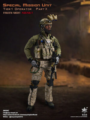 New EASY&SIMPLE 26030C Special Mission Unit Part X Frozen Night