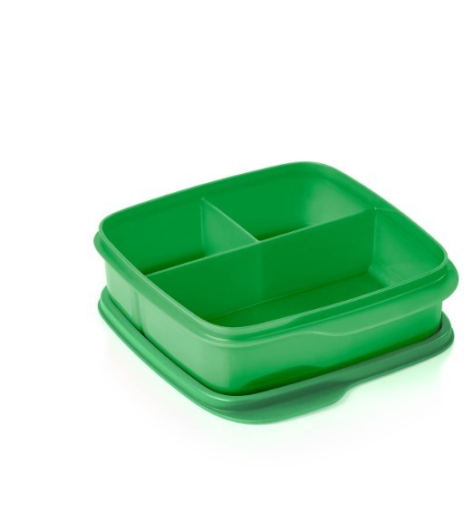 Tupperware Lunch Box Divided Bento Boxes Meal Prep Container Orange and Green