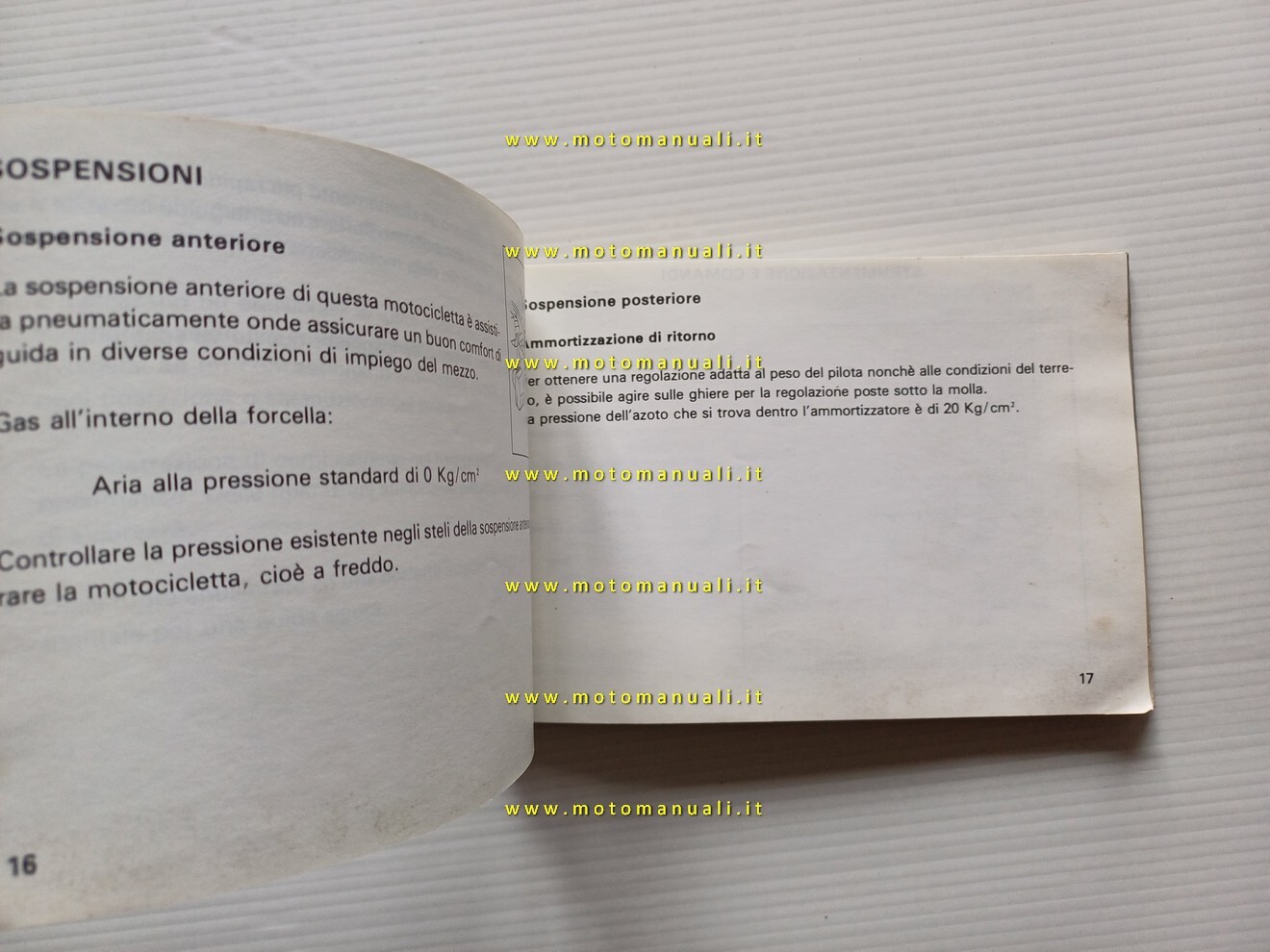 Foto 10 di 10