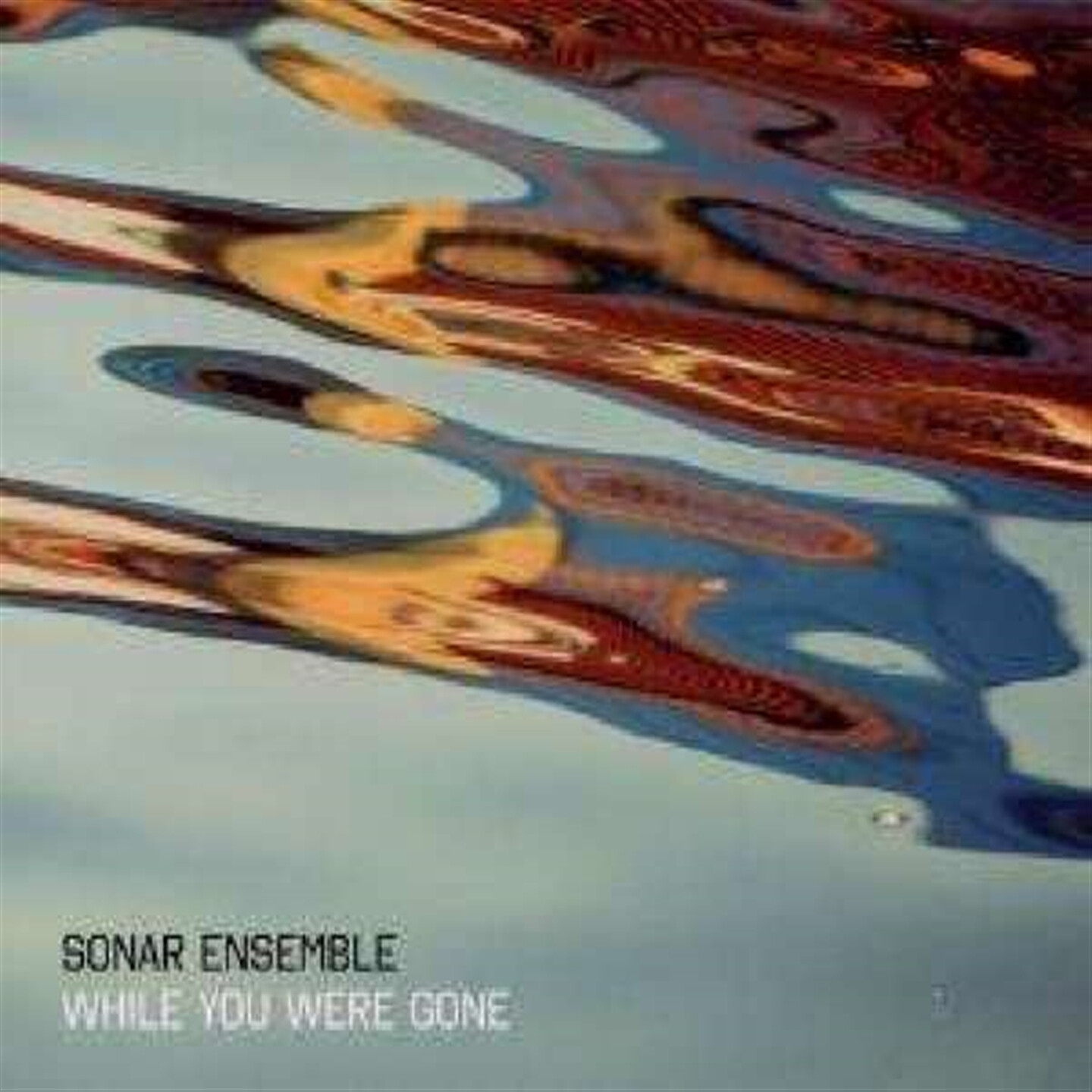 Sonar Ensemble - While You Were Gone