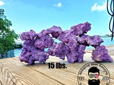 15 lbs Purple Coraline Sm/Med Dry Reef Base Rock, Lightweight, Porous, Live