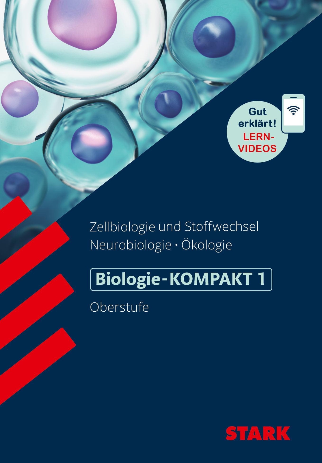 Thumbnail - Hans-dieter Triebel | Stark Biologie-kompakt 1 | Taschenbuch | Deutsch