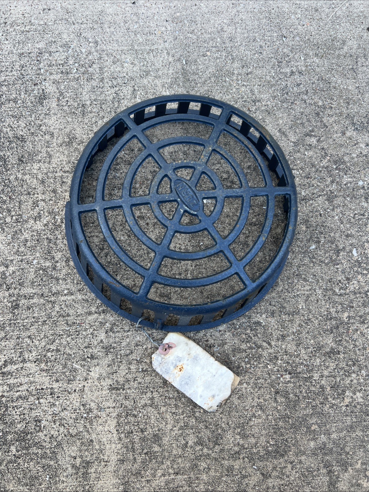 Zurn Roof Doom Drain Strainer P100-DOME-CI Cast Iron