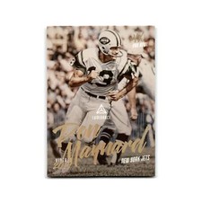 Don Maynard 2019 Panini Luminance Vintage Performers #VP-12 New York Jets NM
